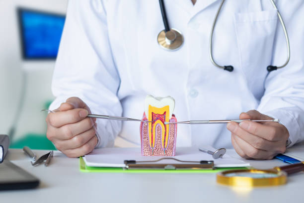 Best Emergency Dental Care for Sports Injuries in Maine, WI
